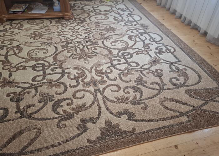Grajewo ogłoszenia: Dywan 297cmx392cm